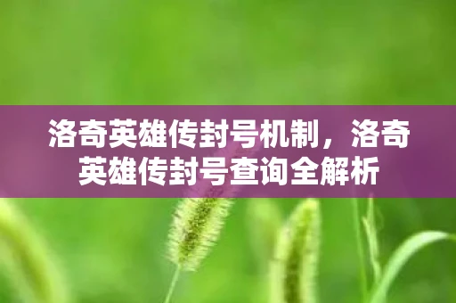 洛奇英雄传封号机制，洛奇英雄传封号查询全解析