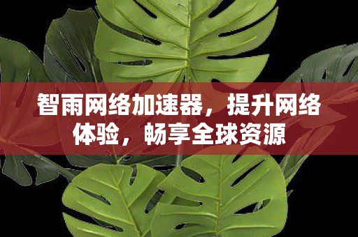智雨网络加速器,提升网络体验,畅享全球资源 智雨网络加速器,提升网络体验,畅享全球资源