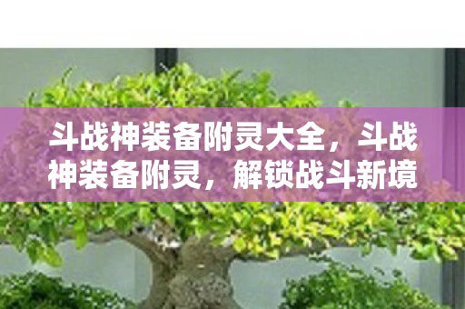 斗战神装备附灵大全,斗战神装备附灵,解锁战斗新境界 斗战神装备附灵大全,斗战神装备附灵,解锁战斗新境界