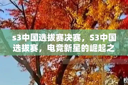 s3中国选拔赛决赛，S3中国选拔赛，电竞新星的崛起之路