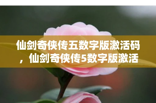 仙剑奇侠传五数字版激活码,仙剑奇侠传5数字版激活码,重温经典,解锁你的仙侠之旅 仙剑奇侠传五数字版激活码,仙剑奇侠传5数字版激活码,重温经典,解锁你的仙侠之旅