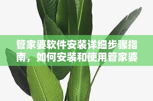 管家婆软件安装详细步骤指南图片