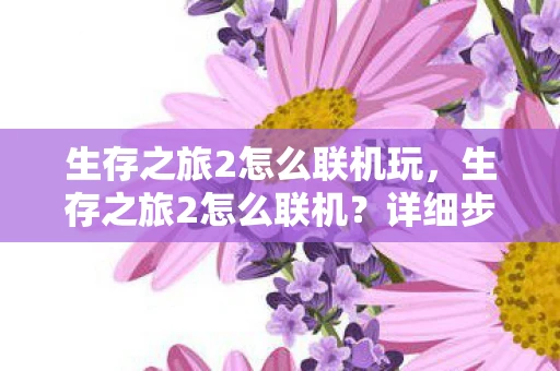 生存之旅2怎么联机玩，生存之旅2怎么联机？详细步骤与技巧分享