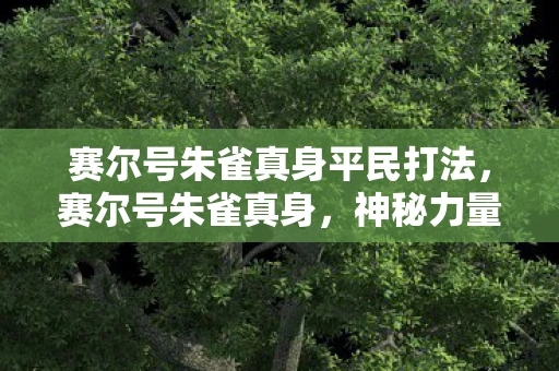 赛尔号朱雀真身平民打法，赛尔号朱雀真身，神秘力量的觉醒