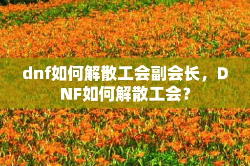 dnf如何解散工会副会长，DNF如何解散工会？