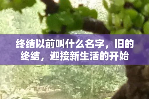 终结以前叫什么名字,旧的终结,迎接新生活的开始 终结以前叫什么名字,旧的终结,迎接新生活的开始
