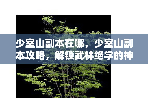 少室山副本在哪,少室山副本攻略,解锁武林绝学的神秘之旅 少室山副本在哪,少室山副本攻略,解锁武林绝学的神秘之旅