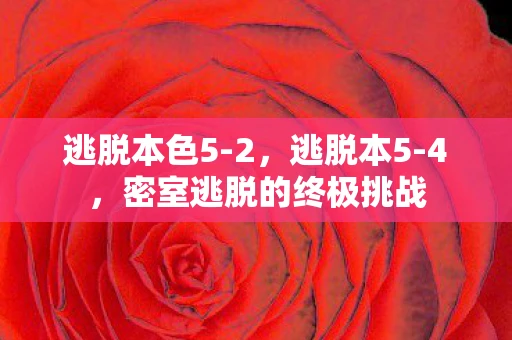 逃脱本色5-2,逃脱本5-4,密室逃脱的终极挑战 逃脱本色5-2,逃脱本5-4,密室逃脱的终极挑战