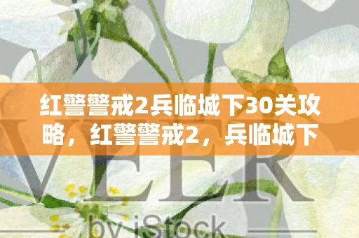 红警警戒2兵临城下30关攻略,红警警戒2,兵临城下3 红警警戒2兵临城下30关攻略,红警警戒2,兵临城下3