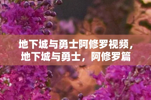 地下城与勇士阿修罗视频，地下城与勇士，阿修罗篇