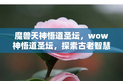 魔兽天神悟道圣坛，wow神悟道圣坛，探索古老智慧的神秘之地