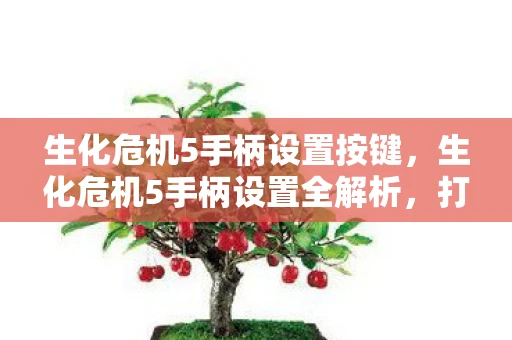 生化危机5手柄设置按键，生化危机5手柄设置全解析，打造个性化游戏体验