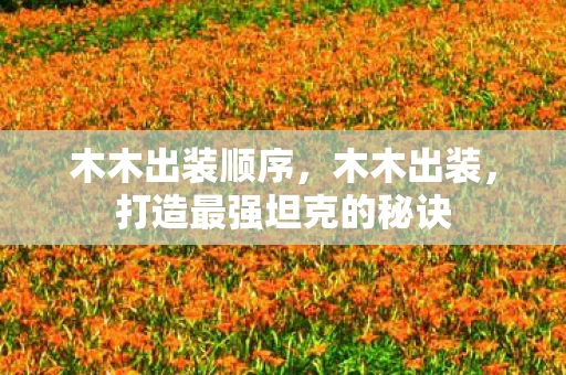 木木出装顺序,木木出装,打造最强坦克的秘诀 木木出装顺序,木木出装,打造最强坦克的秘诀