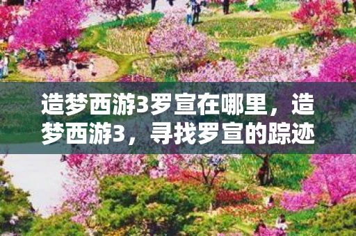造梦西游3罗宣在哪里，造梦西游3，寻找罗宣的踪迹