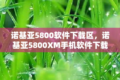 诺基亚5800软件下载区，诺基亚5800XM手机软件下载全攻略