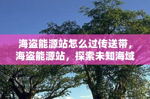 海盗能源站怎么过传送带，海盗能源站，探索未知海域的能源宝藏