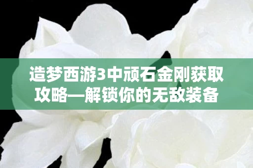 造梦西游3中顽石金刚获取攻略图片