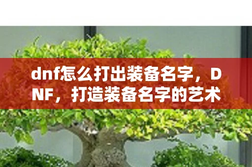 dnf怎么打出装备名字,DNF,打造装备名字的艺术 dnf怎么打出装备名字,DNF,打造装备名字的艺术