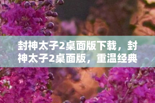 封神太子2桌面版下载,封神太子2桌面版,重温经典,再续传奇 封神太子2桌面版下载,封神太子2桌面版,重温经典,再续传奇