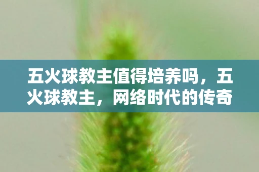 五火球教主值得培养吗,五火球教主,网络时代的传奇人物 五火球教主值得培养吗,五火球教主,网络时代的传奇人物