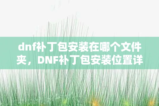 dnf补丁包安装在哪个文件夹,DNF补丁包安装位置详解 dnf补丁包安装在哪个文件夹,DNF补丁包安装位置详解
