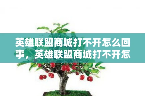 英雄联盟商城打不开怎么回事，英雄联盟商城打不开怎么办？