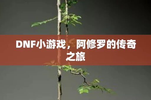 阿修罗的传奇之旅图片