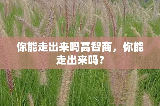 你能走出来吗高智商，你能走出来吗？