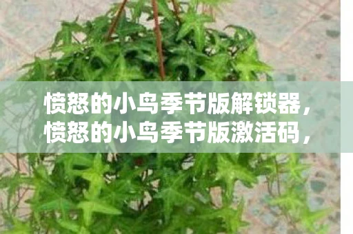 愤怒的小鸟季节版解锁器,愤怒的小鸟季节版激活码,解锁游戏乐趣的钥匙 愤怒的小鸟季节版解锁器,愤怒的小鸟季节版激活码,解锁游戏乐趣的钥匙