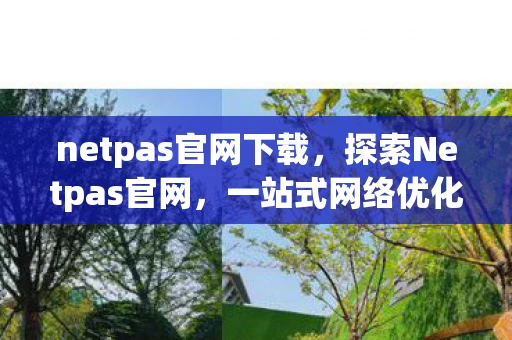 netpas官网下载，探索Netpas官网，一站式网络优化与安全解决方案