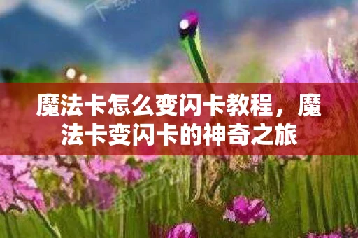 魔法卡怎么变闪卡教程,魔法卡变闪卡的神奇之旅 魔法卡怎么变闪卡教程,魔法卡变闪卡的神奇之旅