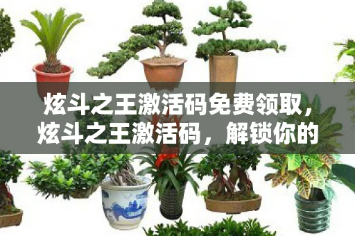 炫斗之王激活码免费领取，炫斗之王激活码，解锁你的战斗激情