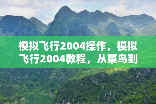 模拟飞行2004操作，模拟飞行2004教程，从菜鸟到飞行员的飞跃