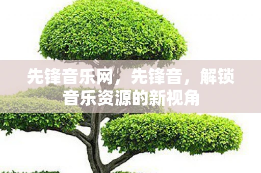 先锋音乐网,先锋音,解锁音乐资源的新视角 先锋音乐网,先锋音,解锁音乐资源的新视角