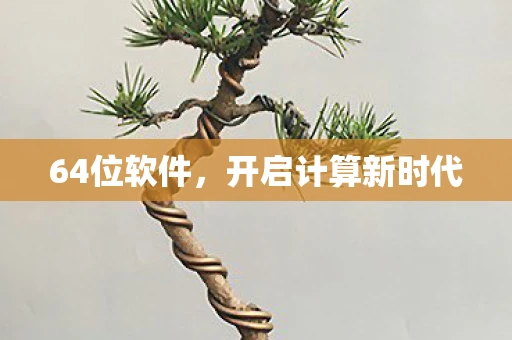 64位软件，开启计算新时代