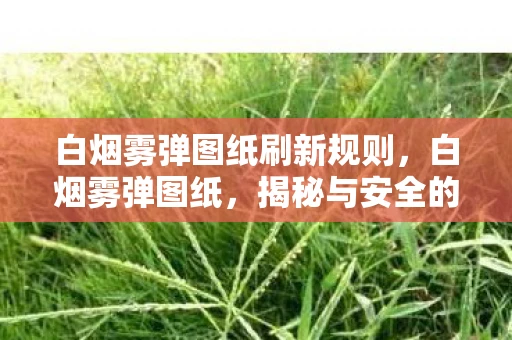 白烟雾弹图纸刷新规则，白烟雾弹图纸，揭秘与安全的双重考量