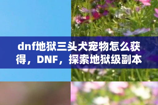 dnf地狱三头犬宠物怎么获得,DNF,探索地狱级副本的挑战与乐趣 dnf地狱三头犬宠物怎么获得,DNF,探索地狱级副本的挑战与乐趣