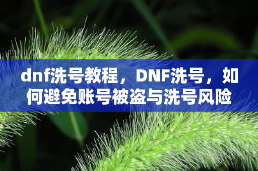 dnf洗号教程,DNF洗号,如何避免账号被盗与洗号风险 dnf洗号教程,DNF洗号,如何避免账号被盗与洗号风险