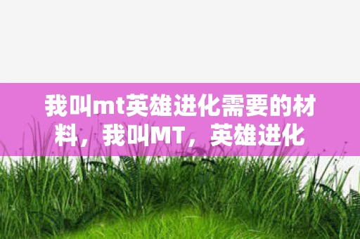 我叫mt英雄进化需要的材料，我叫MT，英雄进化