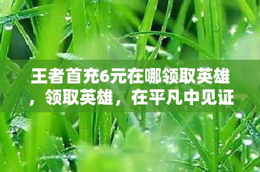 王者首充6元在哪领取英雄，领取英雄，在平凡中见证不凡