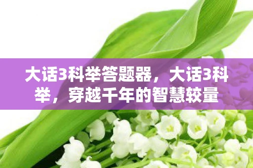 大话3科举答题器，大话3科举，穿越千年的智慧较量