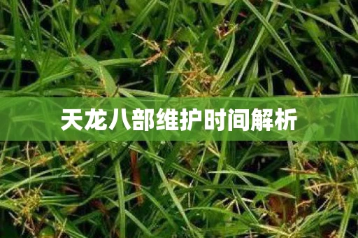 天龙八部维护时间解析图片
