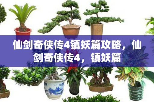 仙剑奇侠传4镇妖篇攻略，仙剑奇侠传4，镇妖篇