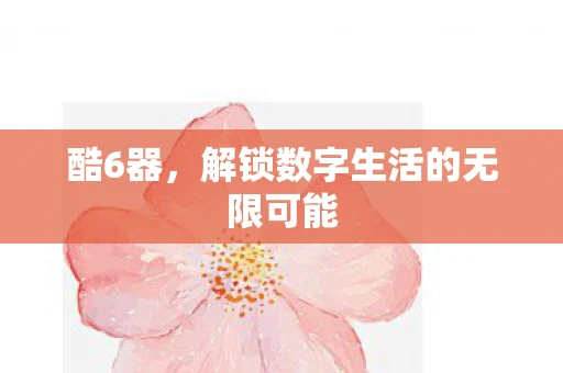 酷6器,解锁数字生活的无限可能 酷6器,解锁数字生活的无限可能