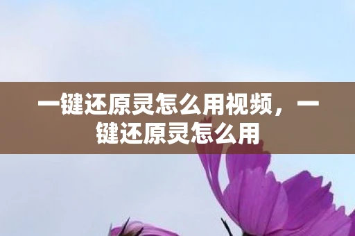 一键还原灵怎么用视频，一键还原灵怎么用