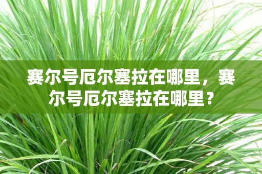 赛尔号厄尔塞拉在哪里,赛尔号厄尔塞拉在哪里? 赛尔号厄尔塞拉在哪里,赛尔号厄尔塞拉在哪里?