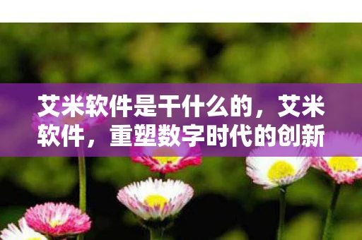 艾米软件是干什么的，艾米软件，重塑数字时代的创新引擎