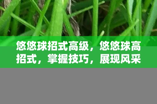 悠悠球招式高级,悠悠球高招式,掌握技巧,展现风采 悠悠球招式高级,悠悠球高招式,掌握技巧,展现风采