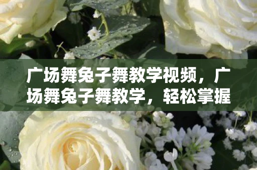 广场舞兔子舞教学视频，广场舞兔子舞教学，轻松掌握节奏与舞步