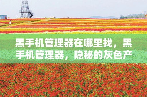 黑手机管理器在哪里找,黑手机管理器,隐秘的灰色产业与监管挑战 黑手机管理器在哪里找,黑手机管理器,隐秘的灰色产业与监管挑战